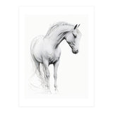 Horse Line Art (Print Only) thumbnail