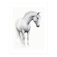 Horse Line Art (Print Only)