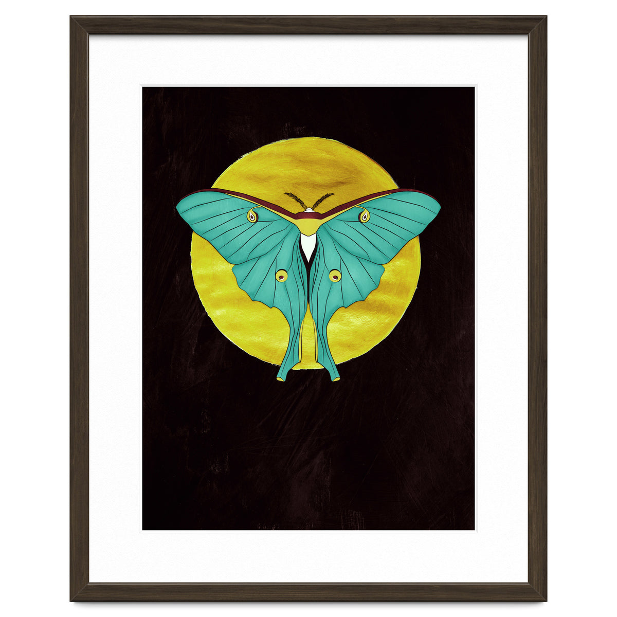Luna Moth Moon