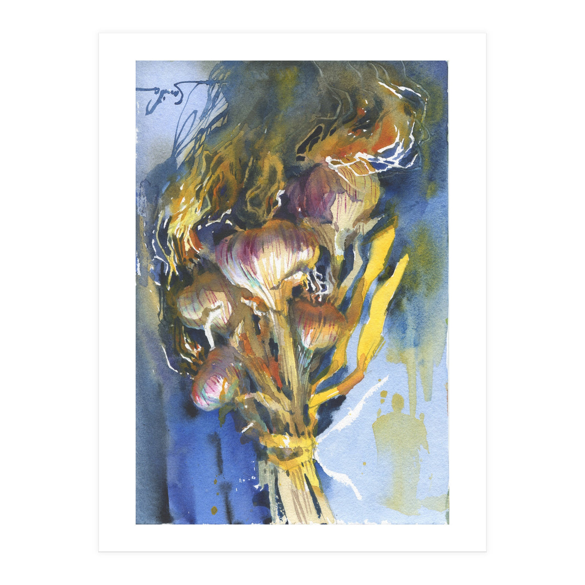 Sunny still life Garlic (Print Only)