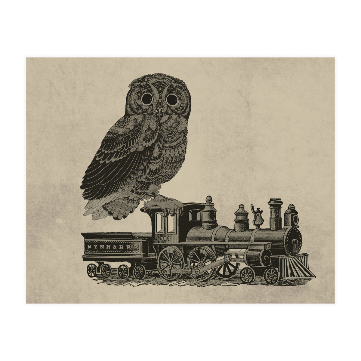 civetta (Print Only)