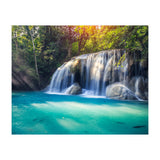 Nature (Print Only) thumbnail