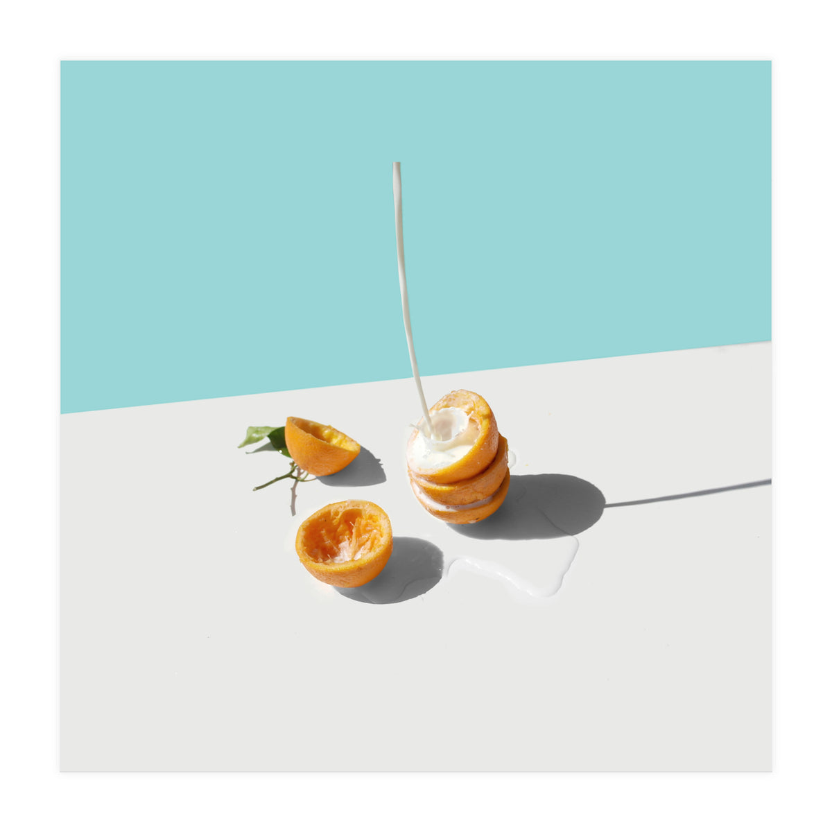 Oranges (Print Only)