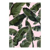 Palms (Print Only) thumbnail