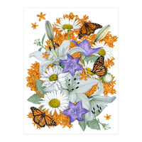 Lillies and Monarchs (Print Only)