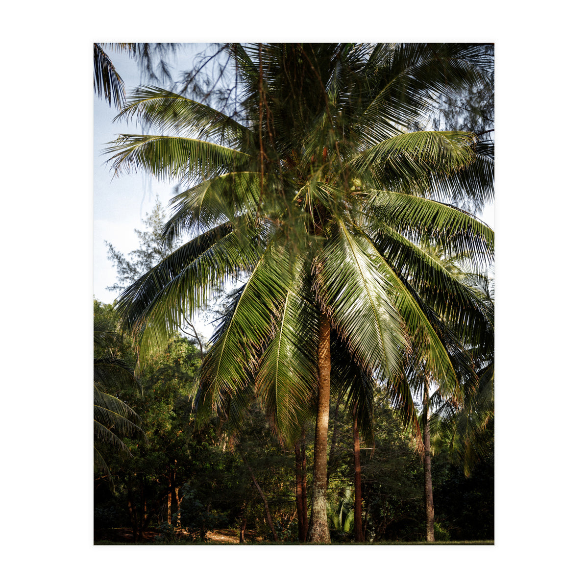 Vacation Postcard (Print Only)