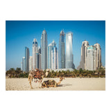 Camel (Print Only) thumbnail