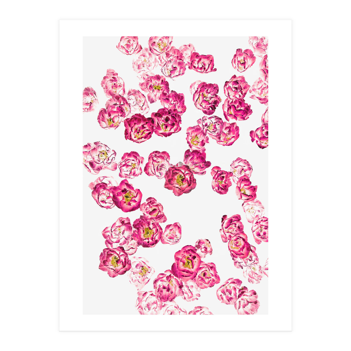 Pink Heaven (Print Only)