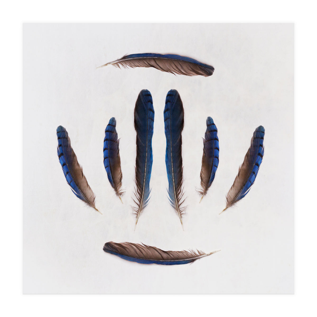 Forgive Me For Forgetting (Print Only)