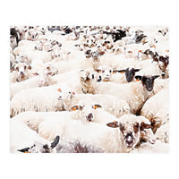 The Herd (Print Only)