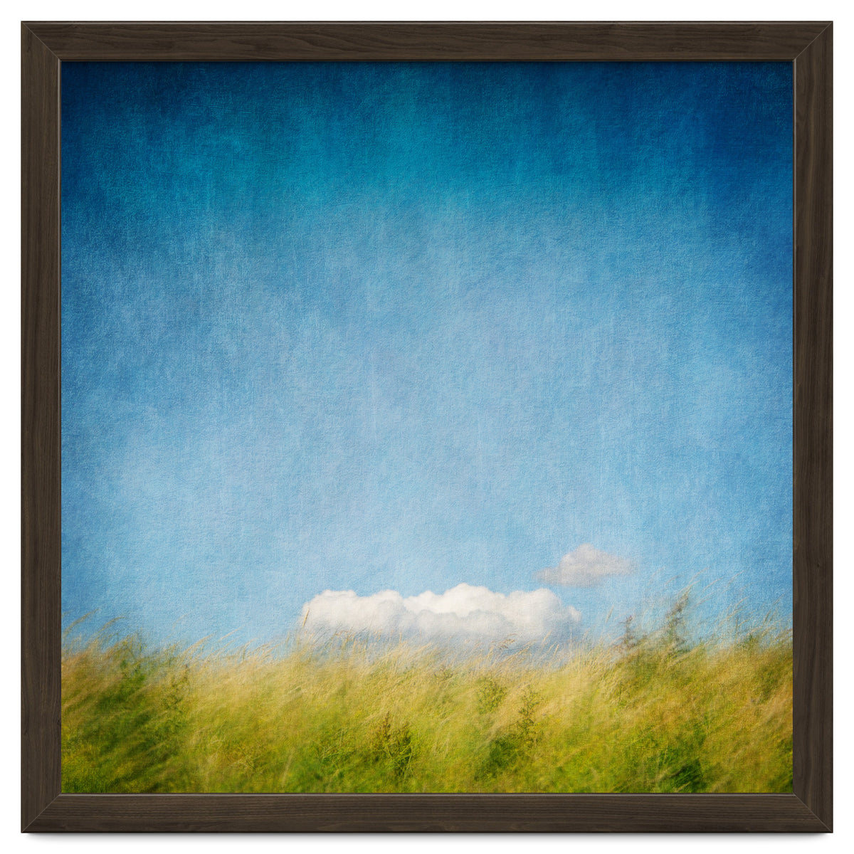 The Cloud That Fell From The Sky