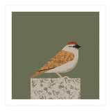 Sparrow  (Print Only) thumbnail