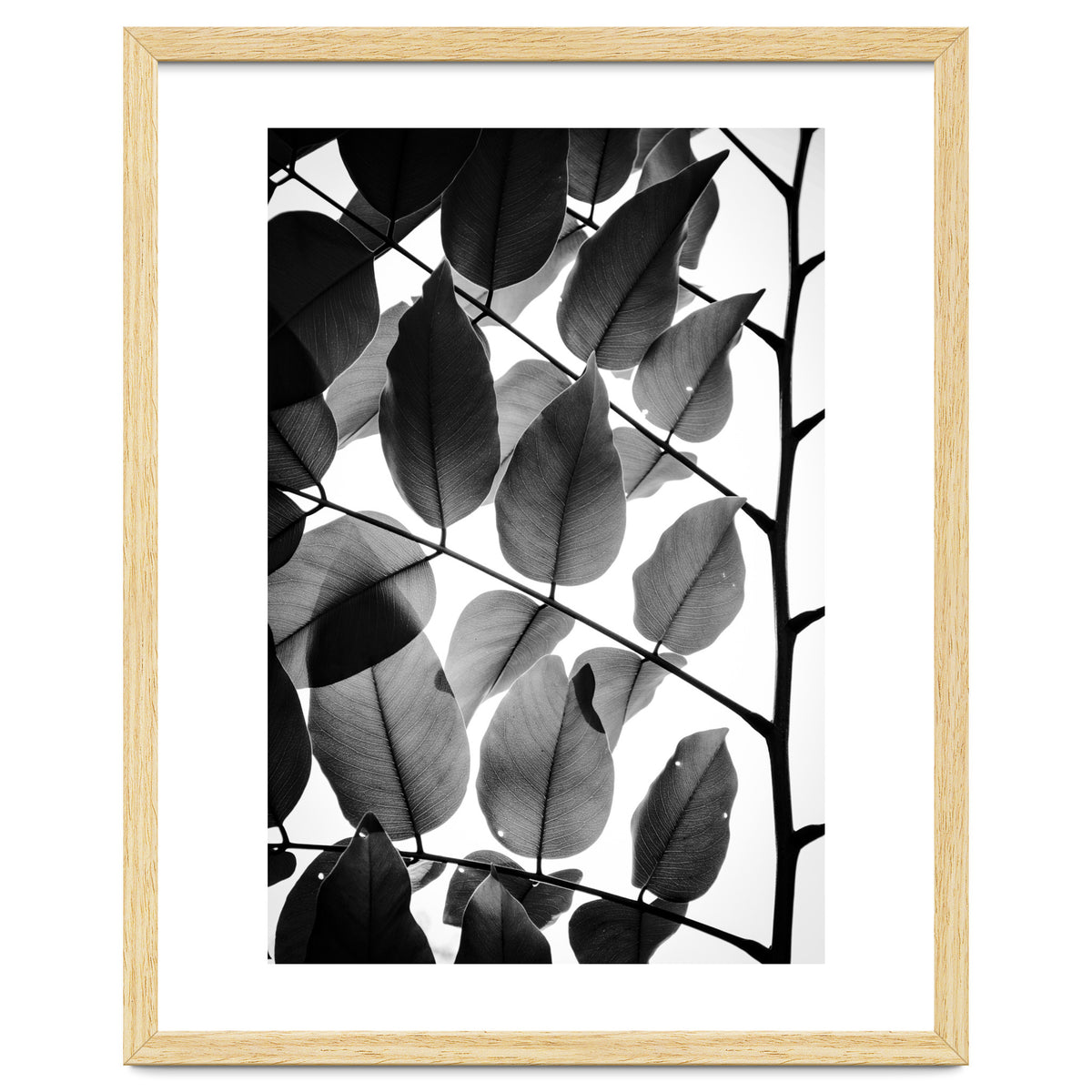 Branches and Leaves II