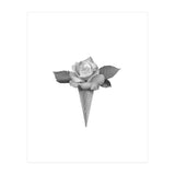 Rosecream (Print Only) thumbnail