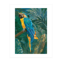 Macaw Meditation in the tropical jungle (Print Only)