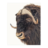 Cc Animal 02 (Print Only) thumbnail
