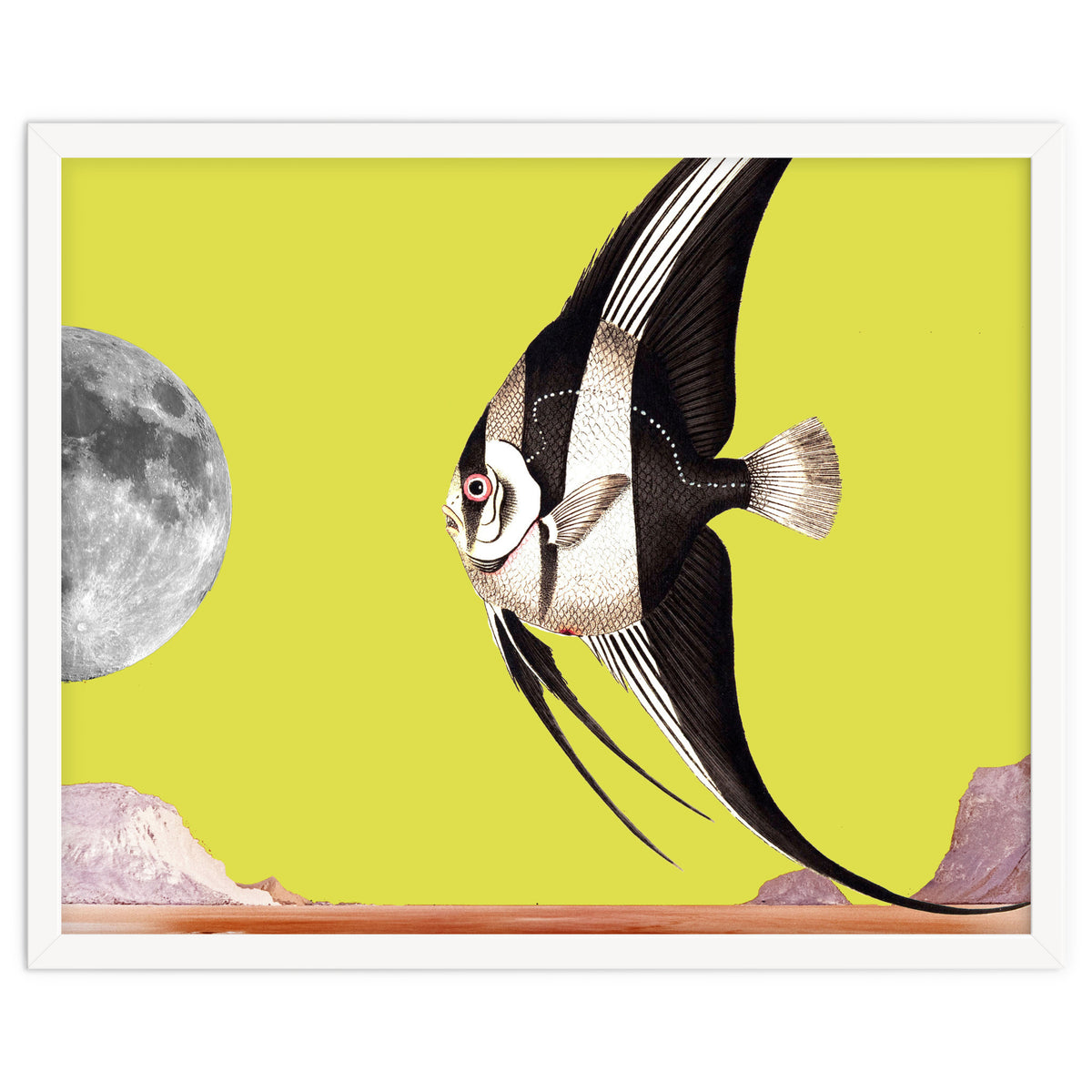 Plenty of fish in the sea yellow