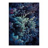 Spring (Print Only) thumbnail