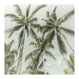 Lovely Palm Trees | Vintage (Print Only) thumbnail