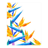 Bird Of Paradise Watercolor (Print Only) thumbnail