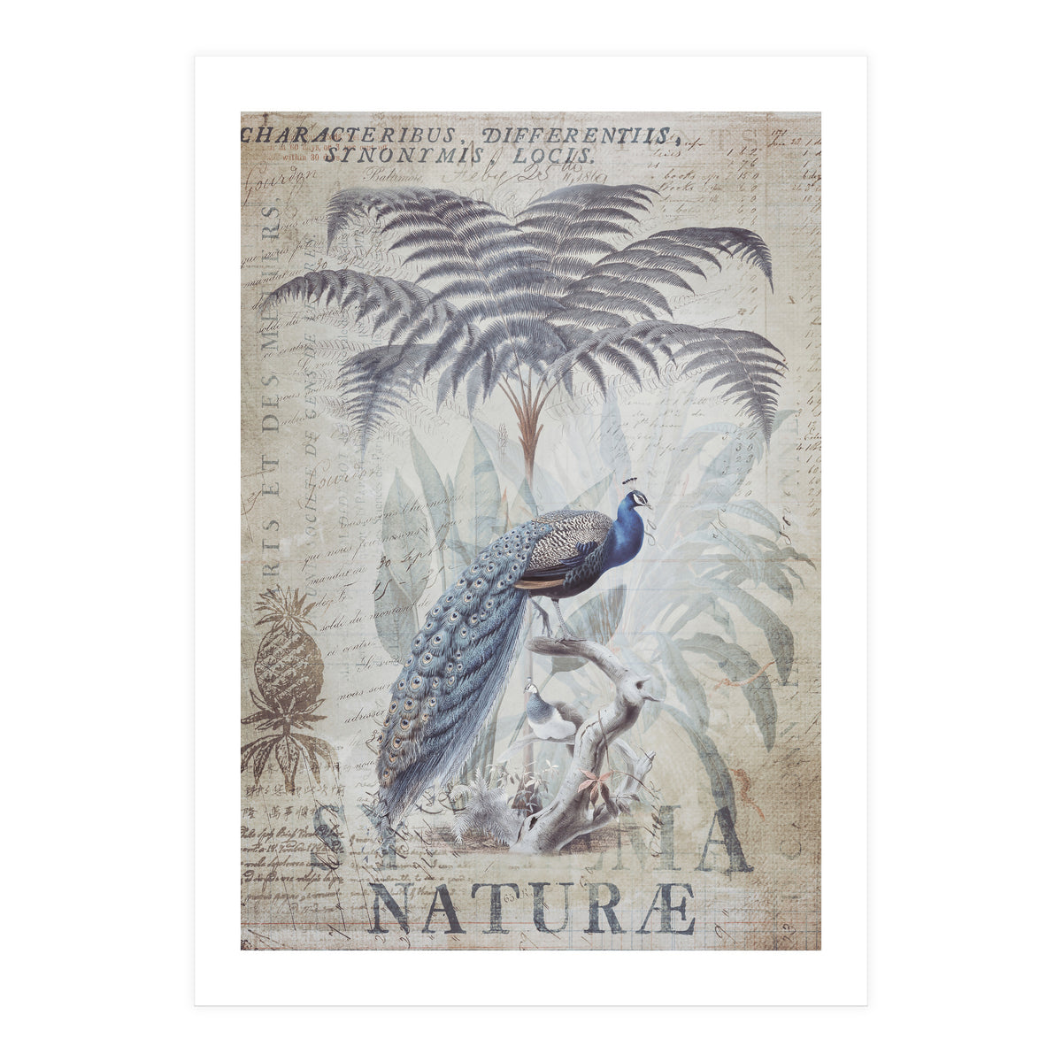 Peacock Jungle (Print Only)