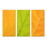 Autumn Leaves (Print Only) thumbnail