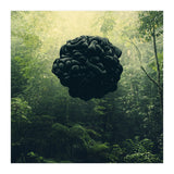 Blacks (Print Only) thumbnail