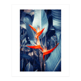 Parakeet Tropical Flower (Print Only) thumbnail