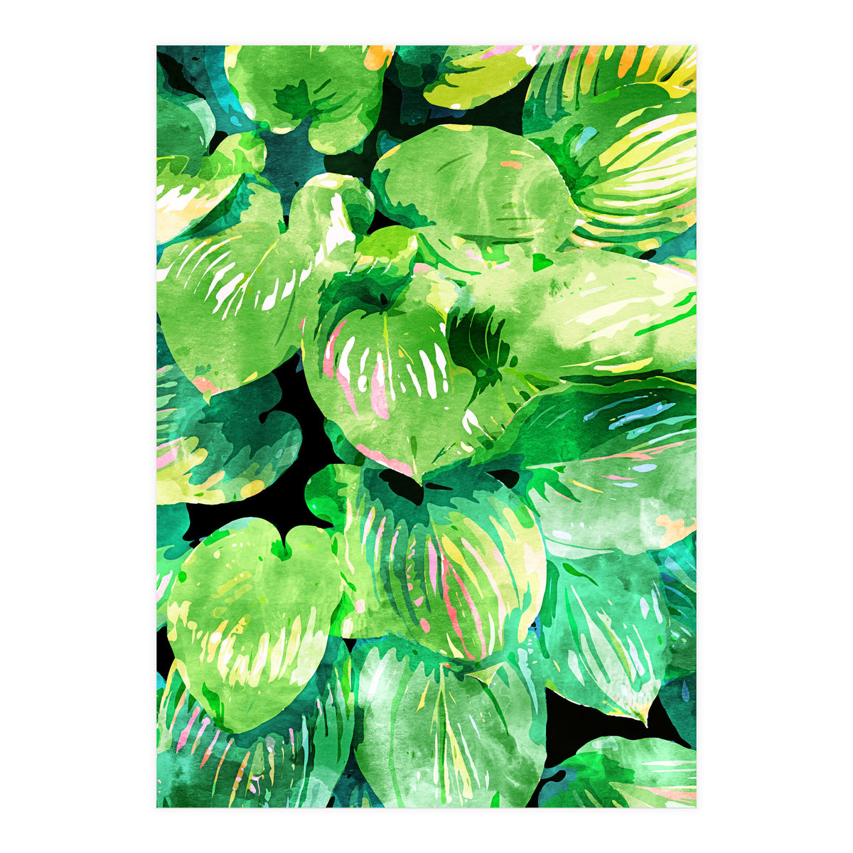 Colors Of The Jungle (Print Only)