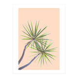 Tropical Serenity | Botanical Nature Plants | Boho Jungle Floral Garden | Watercolor Palm Painting (Print Only) thumbnail