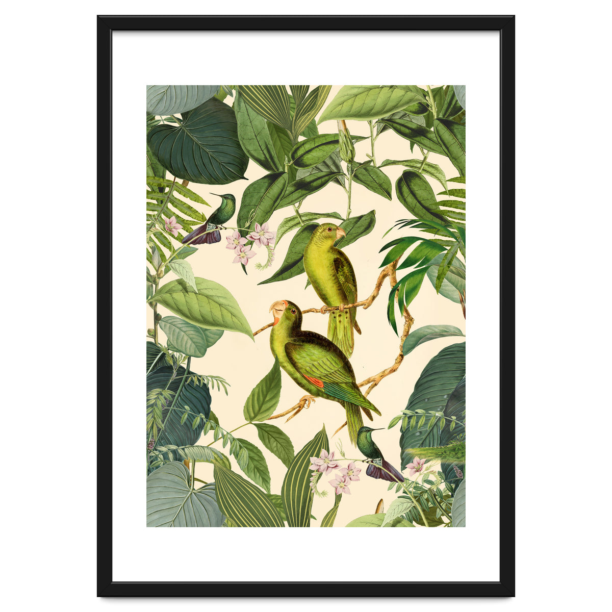 Green Jungle Parakeets