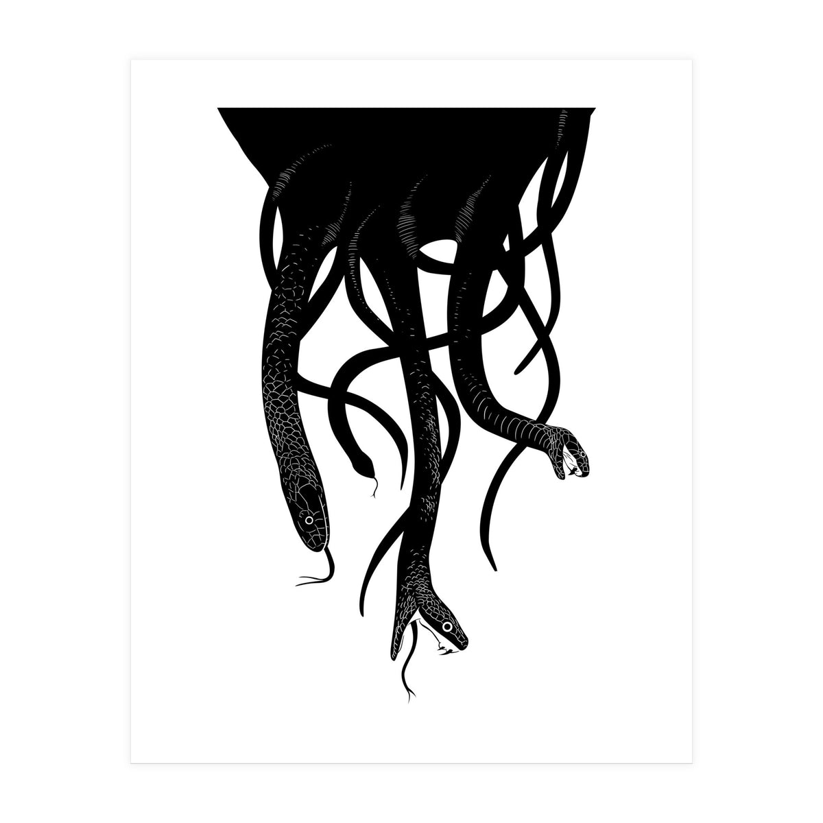 Snakes (Print Only)