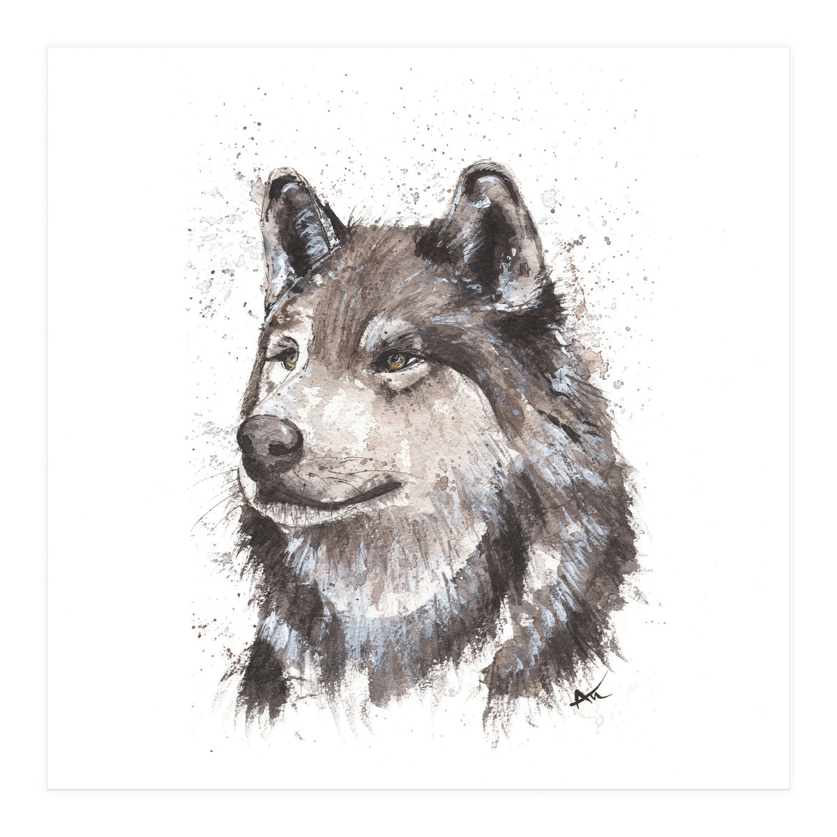 Wolf - Wildlife Collection (Print Only)