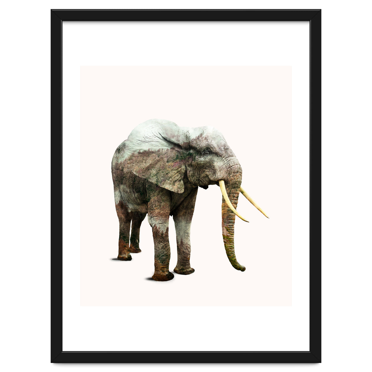 Elephant Transformation