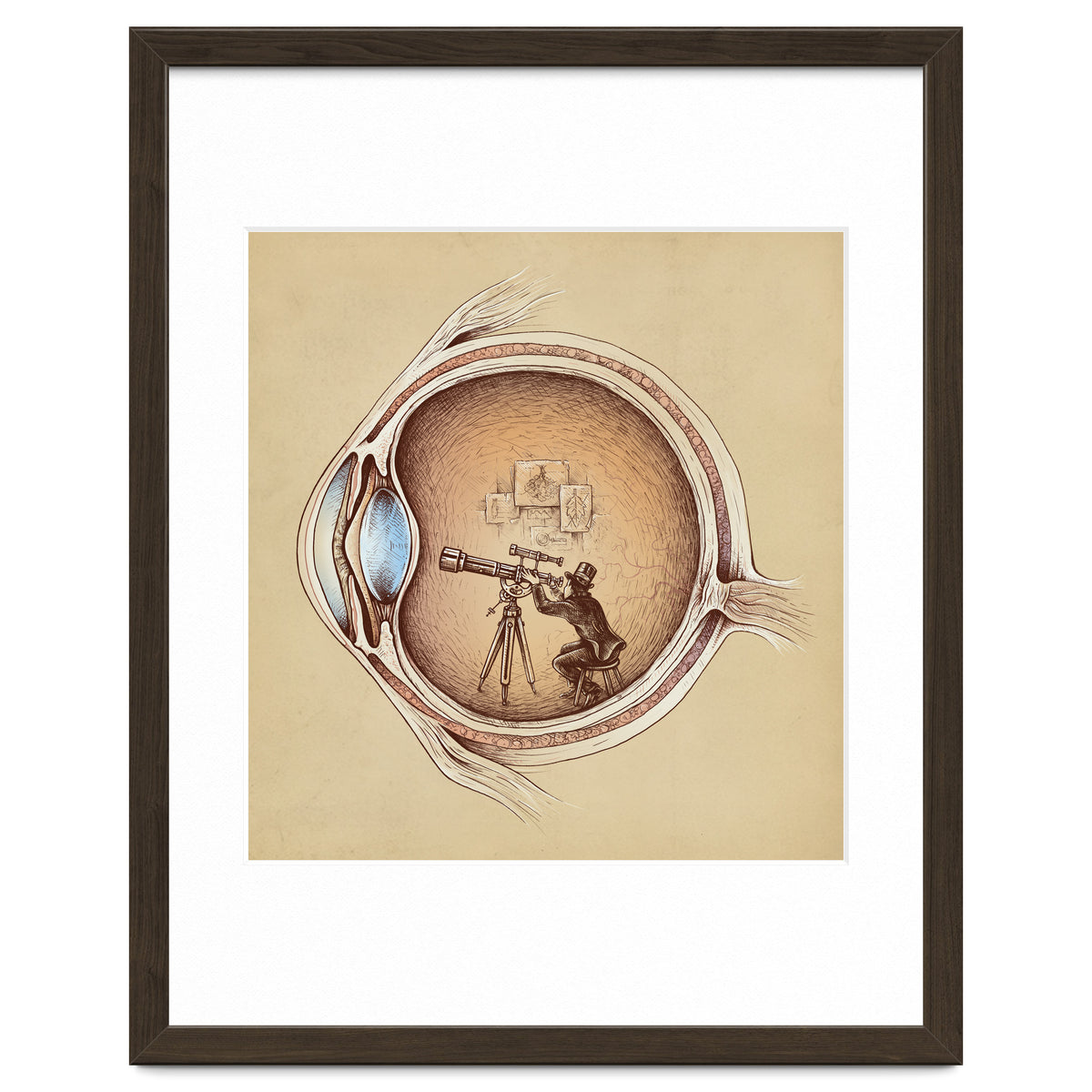 Extraordinary Observer