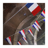 french flags (Print Only) thumbnail