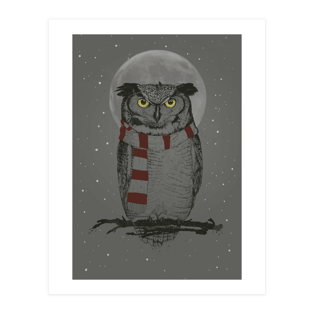 Winter Owl (Print Only)