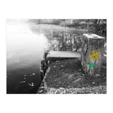Frozen Ground Yellow Flower Street Art (Print Only) thumbnail
