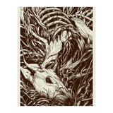 Doeeyed (Print Only) thumbnail