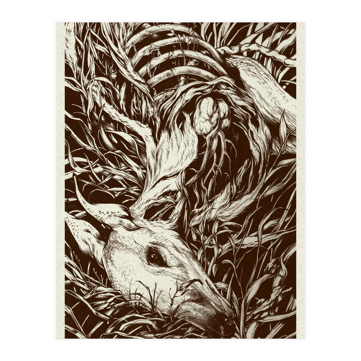 Doeeyed (Print Only)