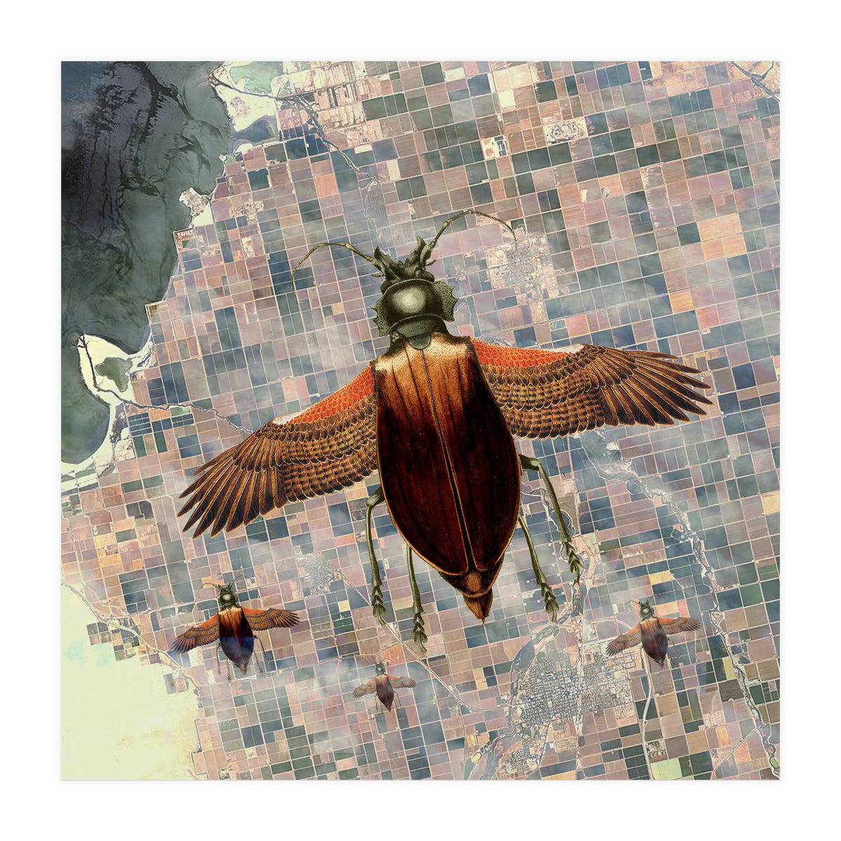 Flying High (Print Only)