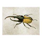 83 (Print Only) thumbnail