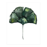 Botanical Illustration Ginko (Print Only) thumbnail