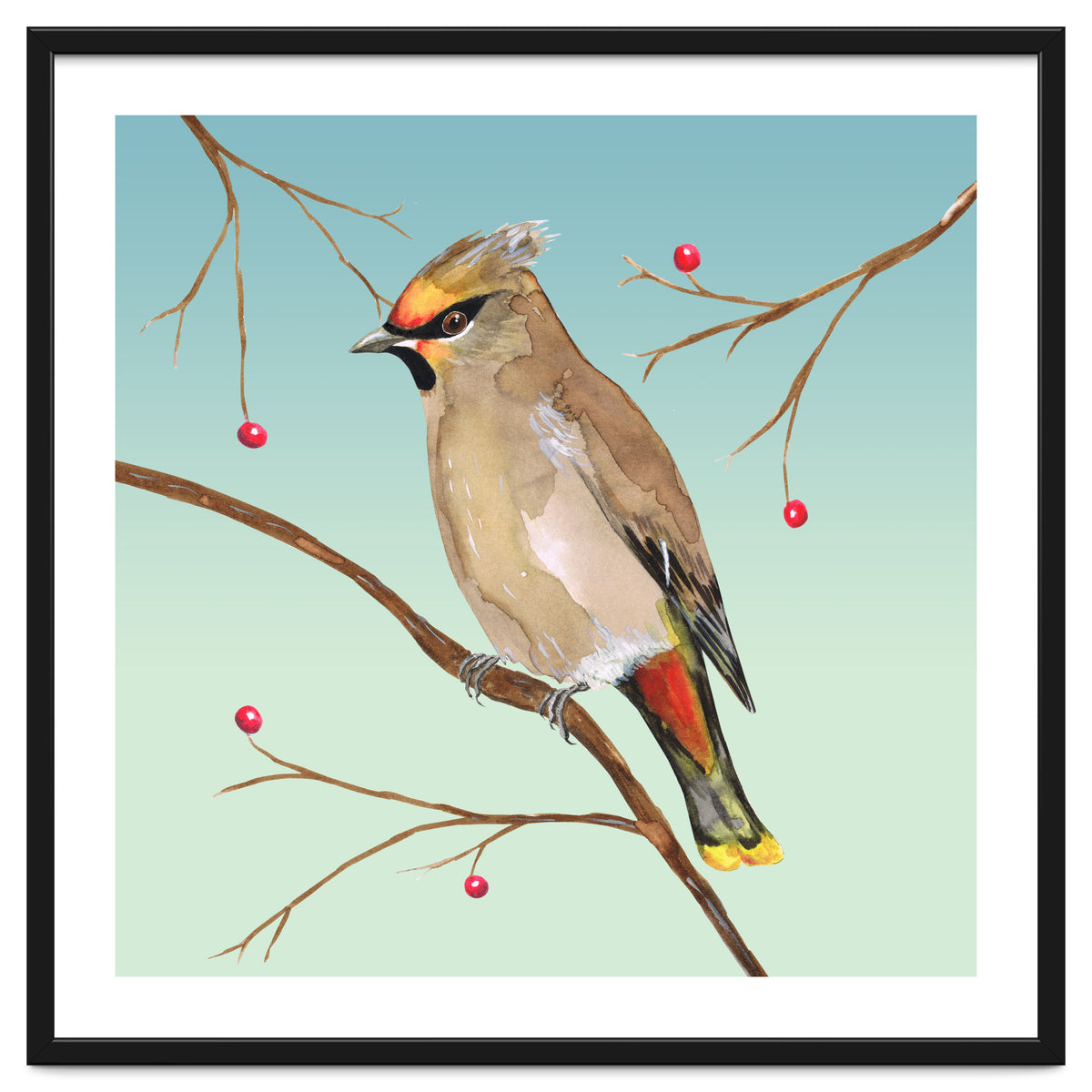 Bohemian waxwing