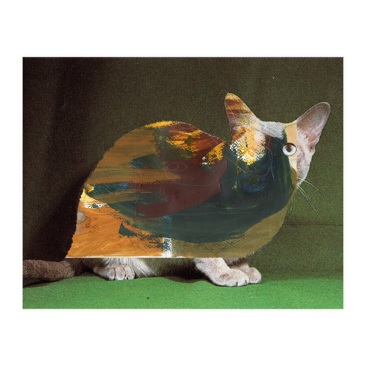 Color Cat (Print Only)