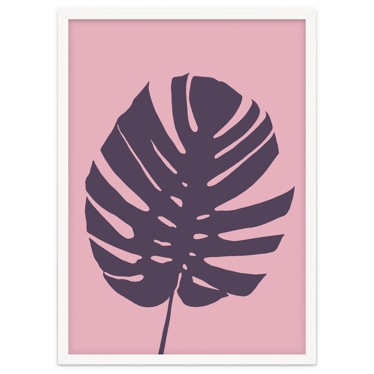 Monstera Deliciosa III