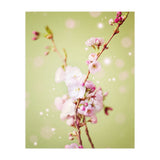 Springflowers (Print Only) thumbnail