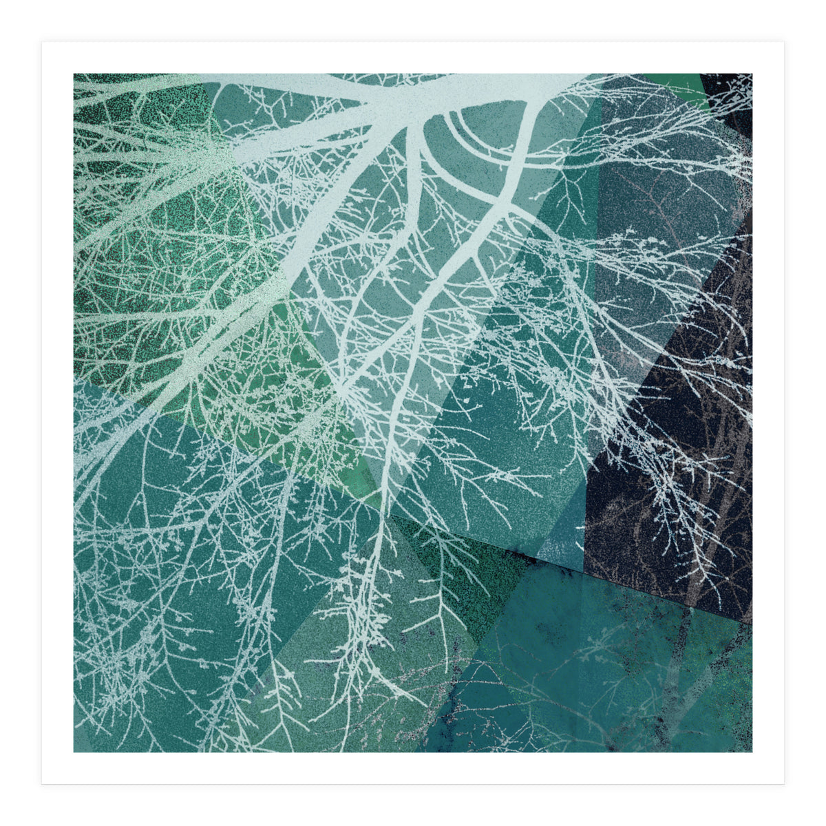 P19-E3 Trees and Triangles (Print Only)