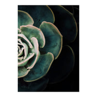Darkside Of Succulents 4-B (Print Only)
