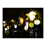 Lanterns (Print Only) thumbnail